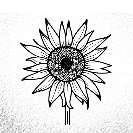 Simple Sunflower With Stem