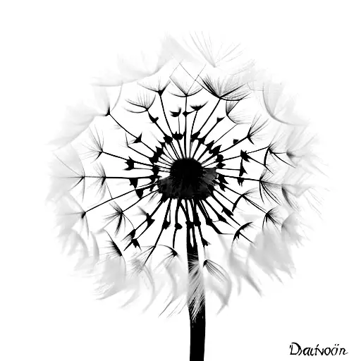 Dandelion