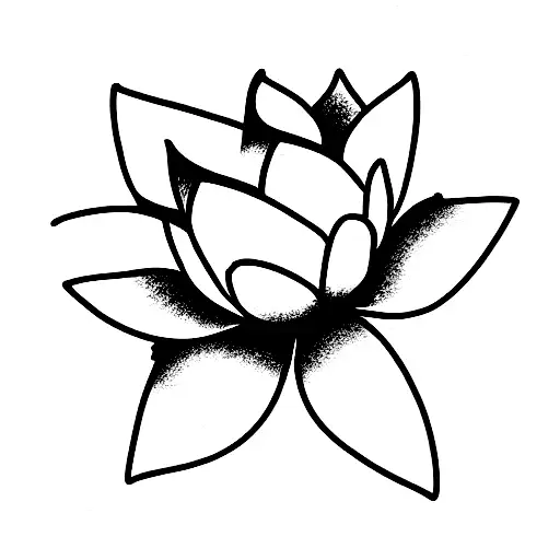 Lotus Flower