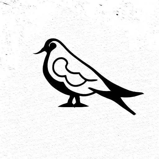 Punjabi Dove