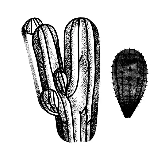 Cactus With The Name Emmett