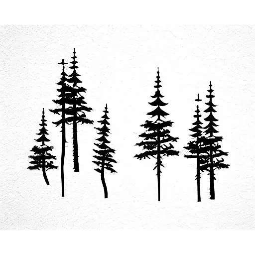 3 Pine Trees 2 Birch Trees And A Mountain Scape