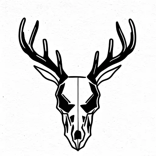 Deer Skull With Left Horn