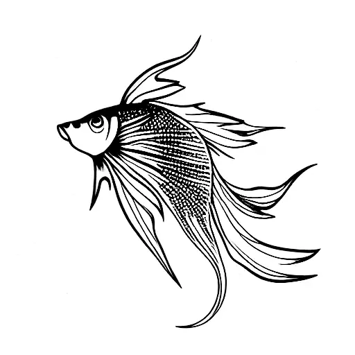 Betta Fish