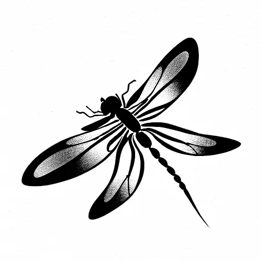 Dragonfly And Bee On A Flower