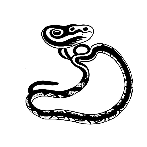 Snake Wrapped Around Rod