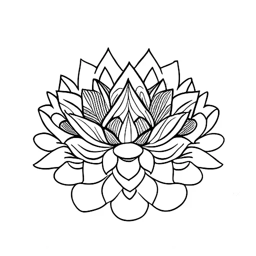 Lotus Flower