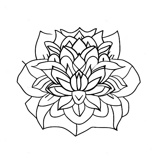 Lotus Flower