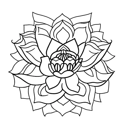 A Delicate Lotus Flower Blooming Under A Crescent Moon