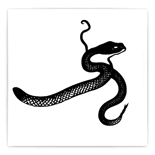 Snake Flowers Feminine