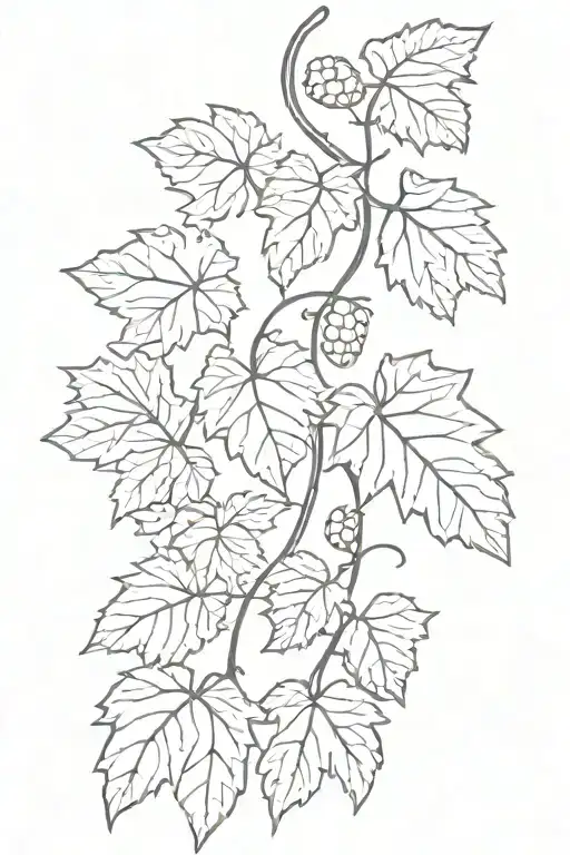 Grape Vine