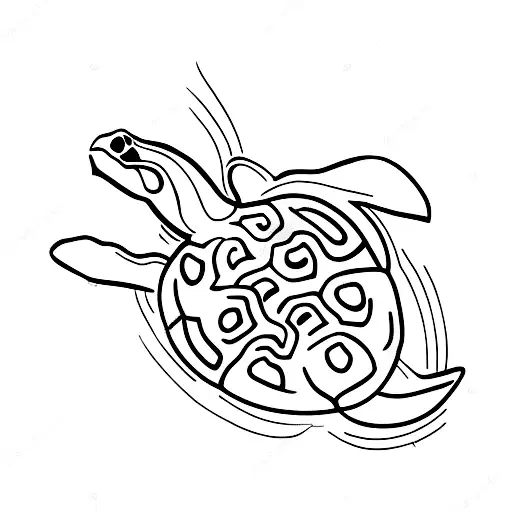 Turtle
