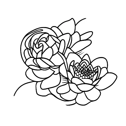 Waterlily And Rose Flowers