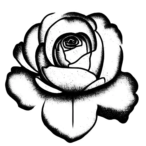 Ranunculus Flowers With Travel Images