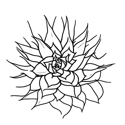 Aloe Vera Plant Coming Out Of A Funky Pot Plant