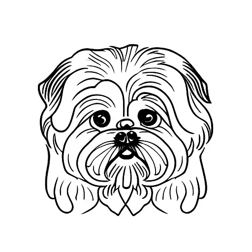 Shih Tzu Dog