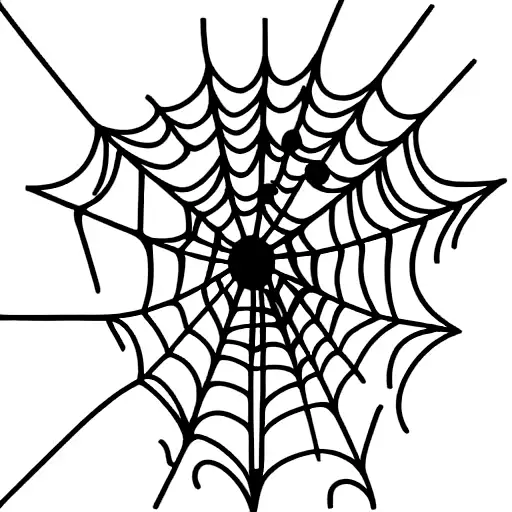 Spider Web