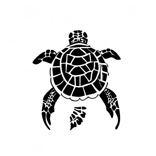 Sea Turtle With Lines Around