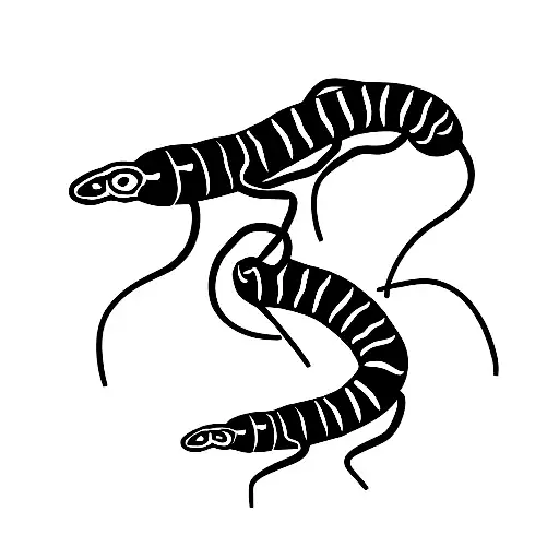 Wriggling Centipede With Sharp Legs In Black