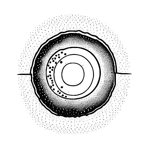 Poppy Flower With The Moon Phases