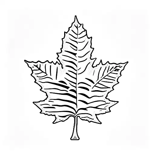 Maple Leaf