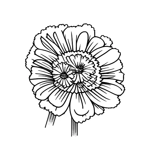 Daisy And Carnation