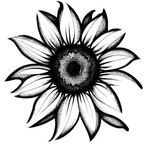 Sunflower And Morning Glory