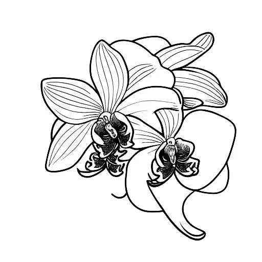 Orchid