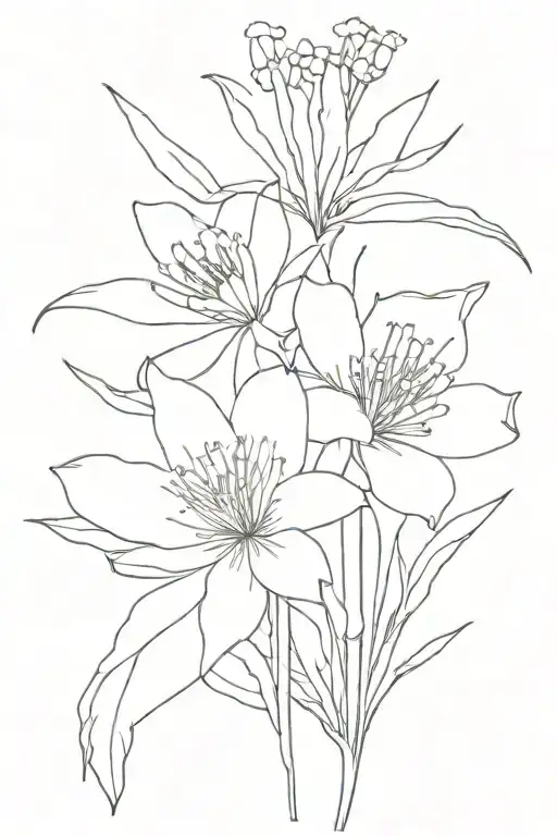 Australian Native Birth Flower September December October And February Bouquet Black And White