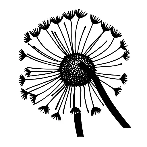 Dandelion
