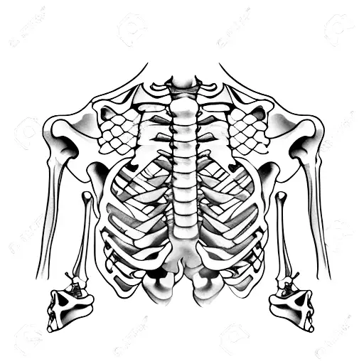 Skeleton Arm Rib Cage Holding Petrol