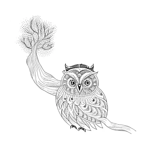 An Owl