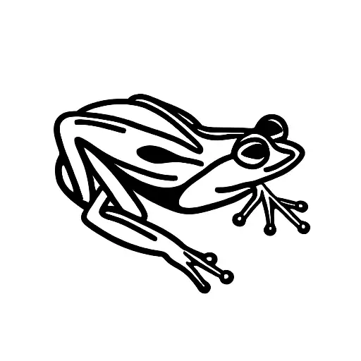 Muscular Frog