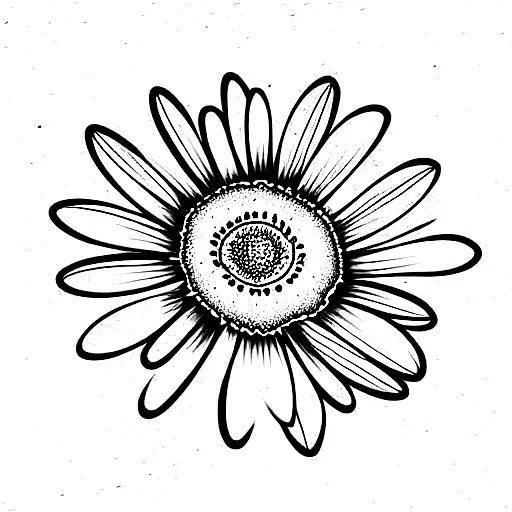 A Daisy Flower With 19 Petals