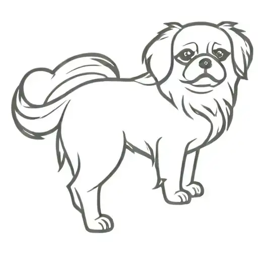 Tibetan Spaniel Dog
