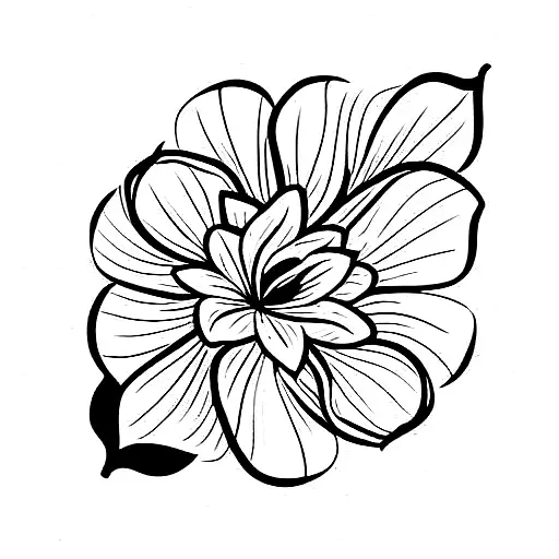 June And July Birth Flower