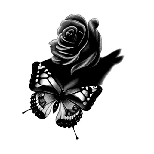 A Butterfly And A Rose