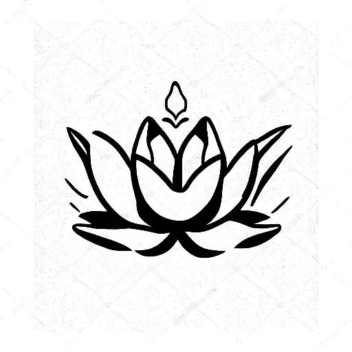 Lotus Flower With Moon