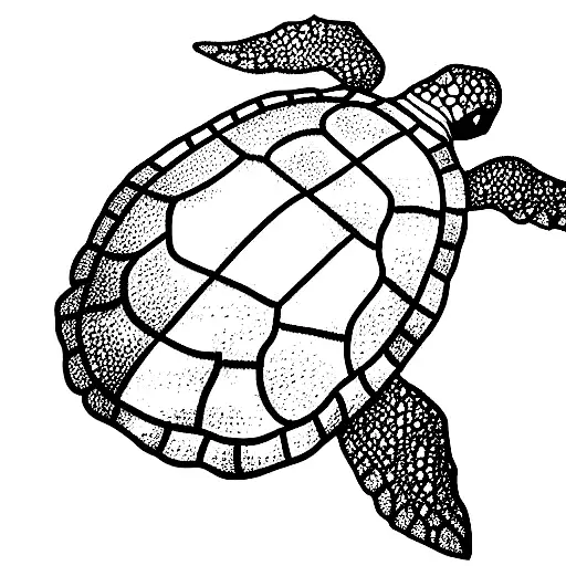 Sea Turtle