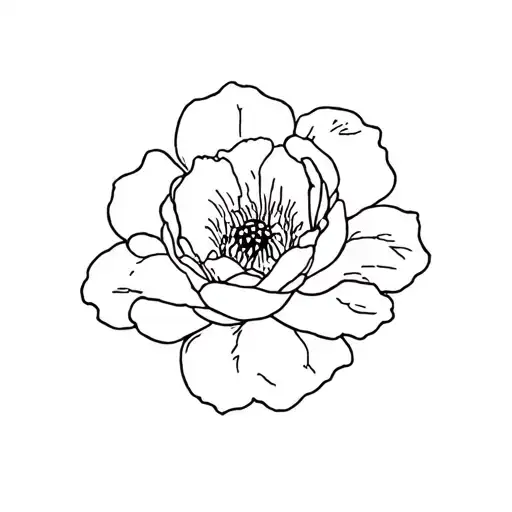 Word Camellia Written On Hand