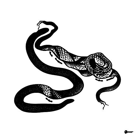 Snake Over Female Stomach