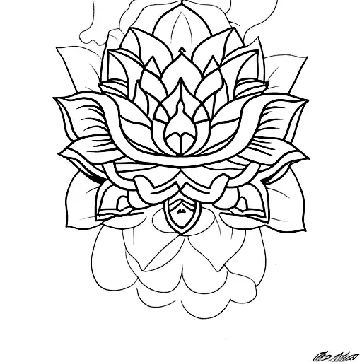 Lotus Flower