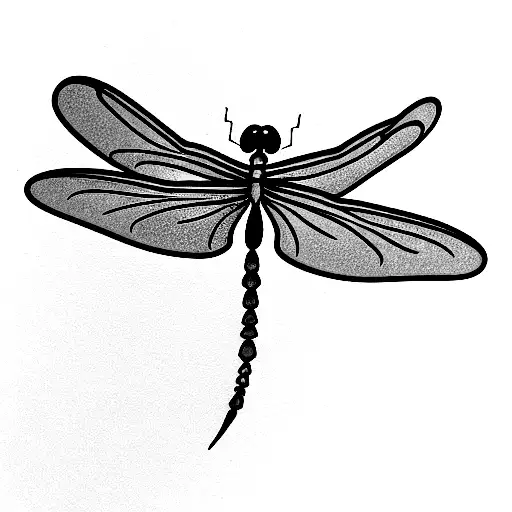 Dragonfly With Kimino