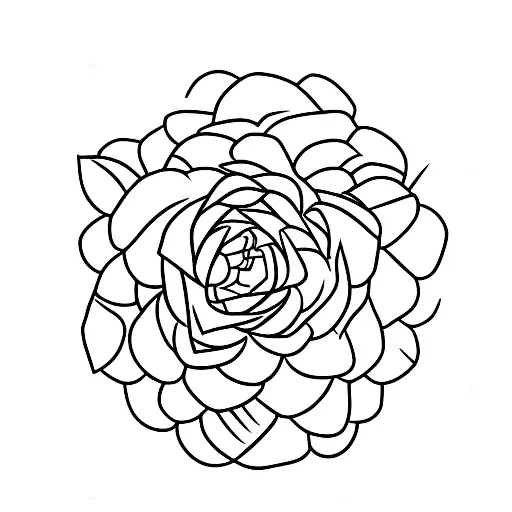 Edelweiss Flower With Stalk And Leaves