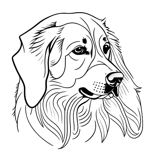 Saara Dog Golden Retriever