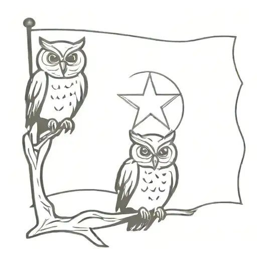 A Minimalist Outline Of The Texas State Flag With A Pair Of Owls Perched On Top