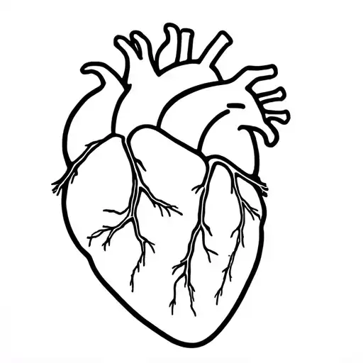 Anatomical Heart Dad