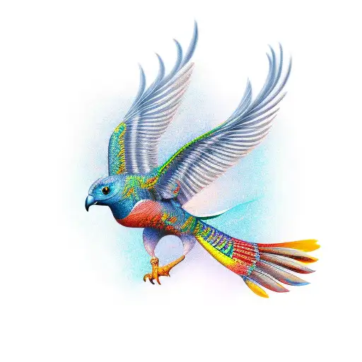 An Animal With Only One Wing