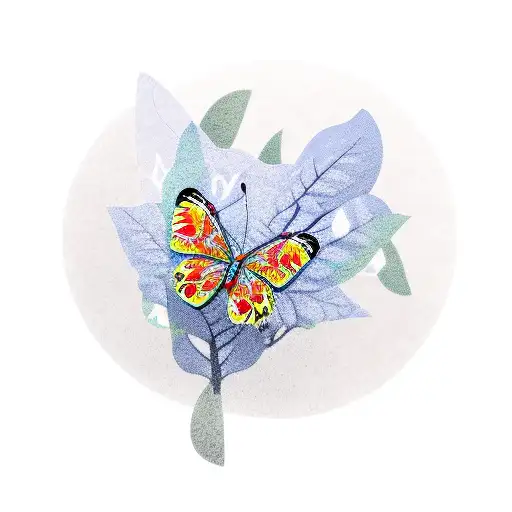 Butterfly And Plane Tree