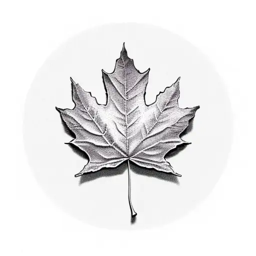 Maple Leaf